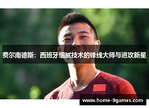 费尔南德斯:西班牙细腻技术的锋线大师与进攻新星 费尔南德斯:西班牙细腻技术的锋线大师与进攻新星